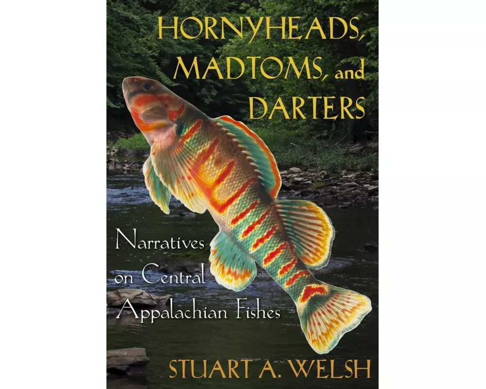Hornyheads, Madtoms, and Darters