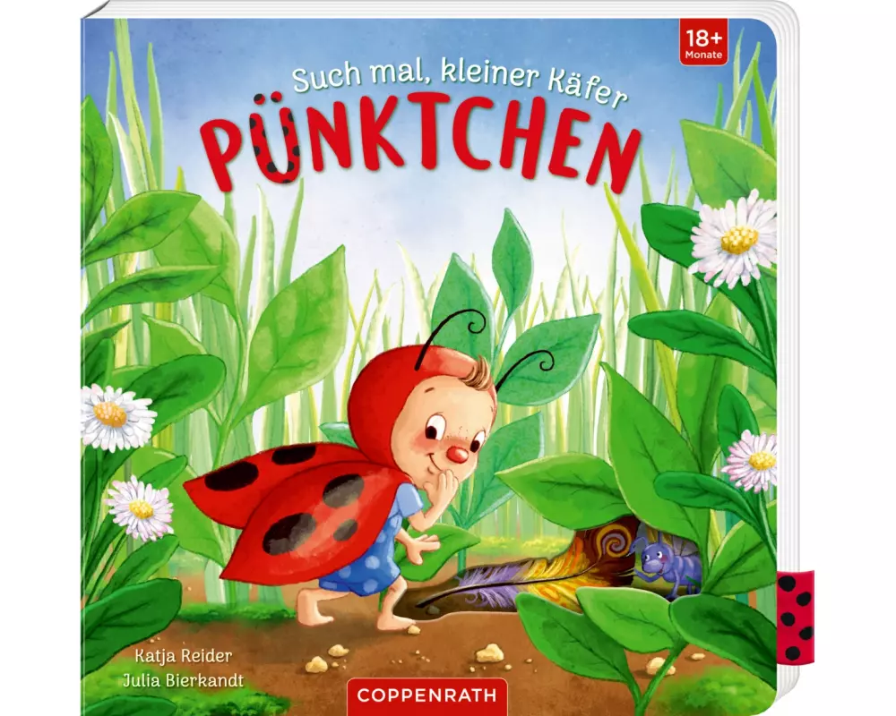 Such mal, kleiner Käfer Pünktchen