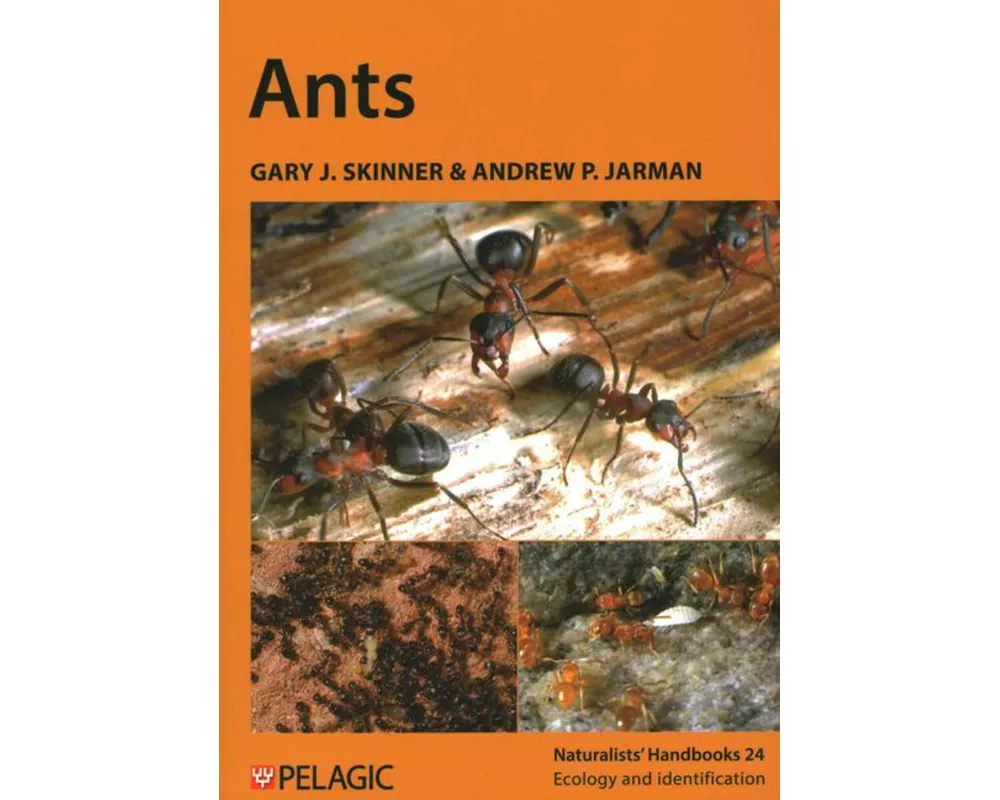 Ants