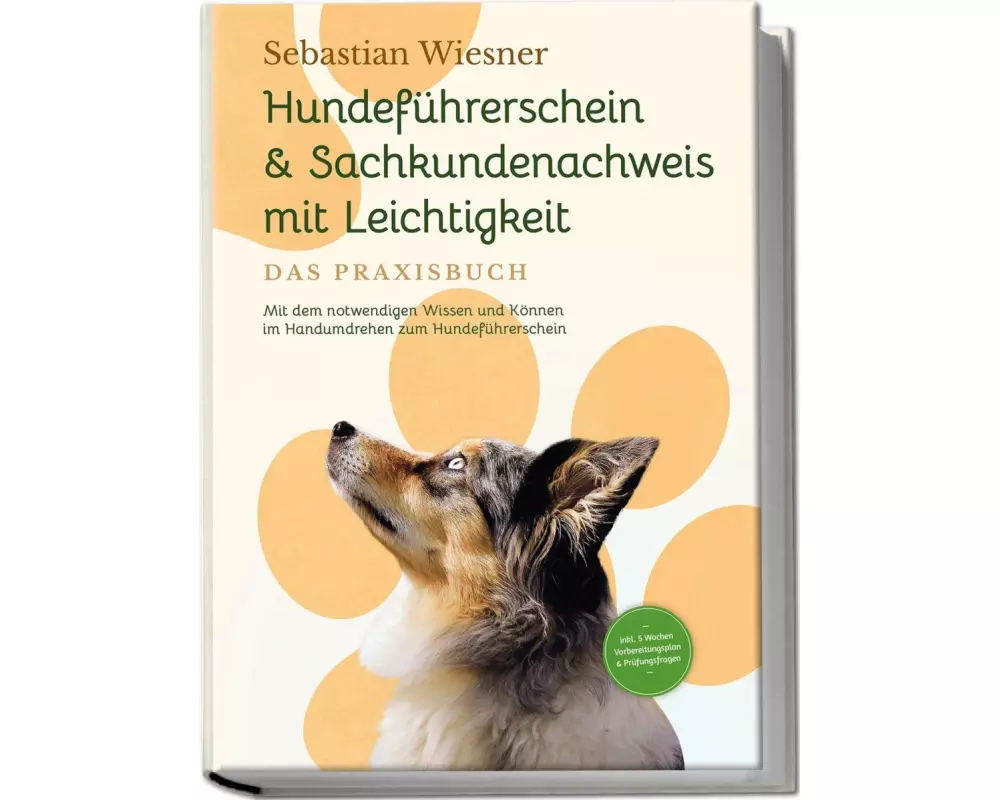 Hundeführerschein & Sachkundenachweis mit Leichtigkeit - Das Praxisbuch: Mit dem notwendigen Wissen und Können im Handumdrehen zum Hundeführerschein |