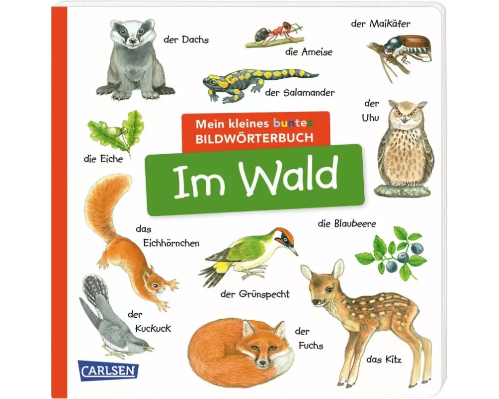 Mein kleines buntes Bildwörterbuch: Im Wald