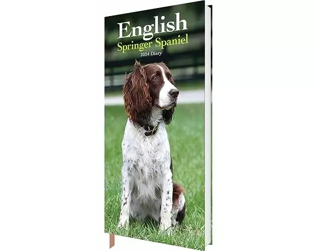 English Springer Spaniels Slim Diary 2024
