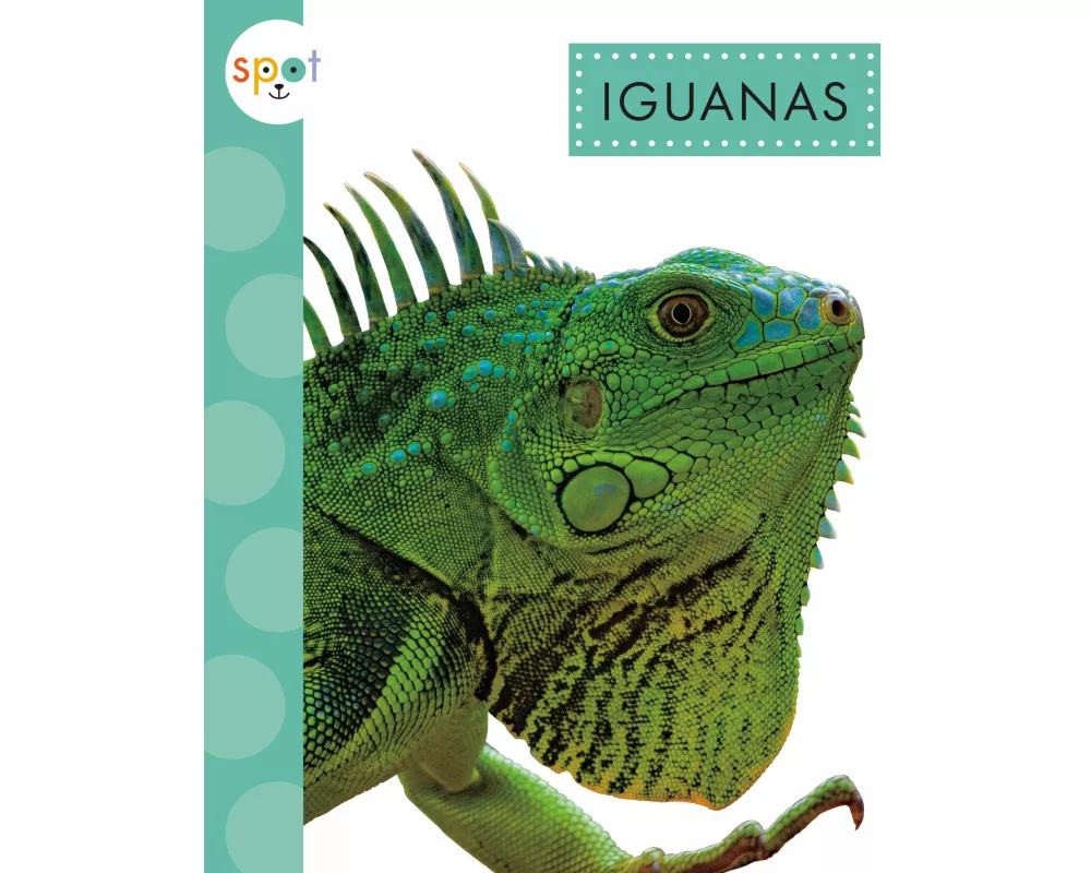 Iguanas