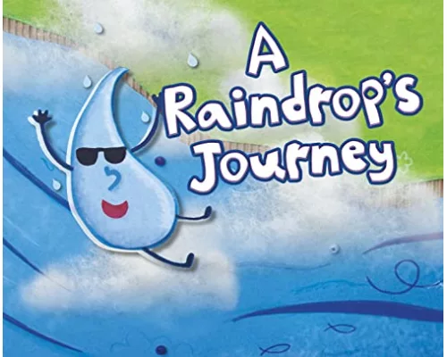 A Raindrop's Journey