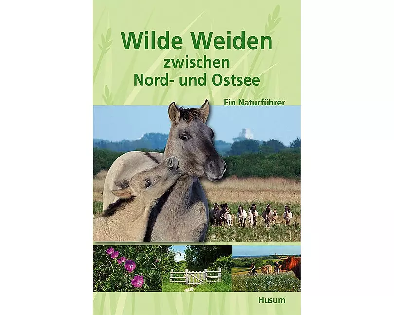 Wilde Weiden zwischen Nord- und Ostsee