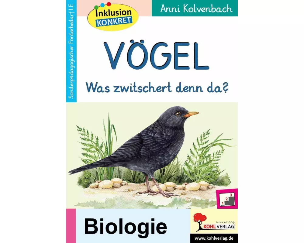Vögel