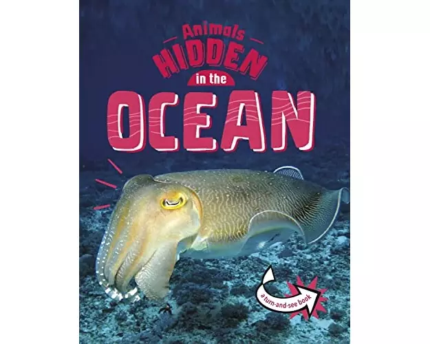Animals Hidden in the Ocean