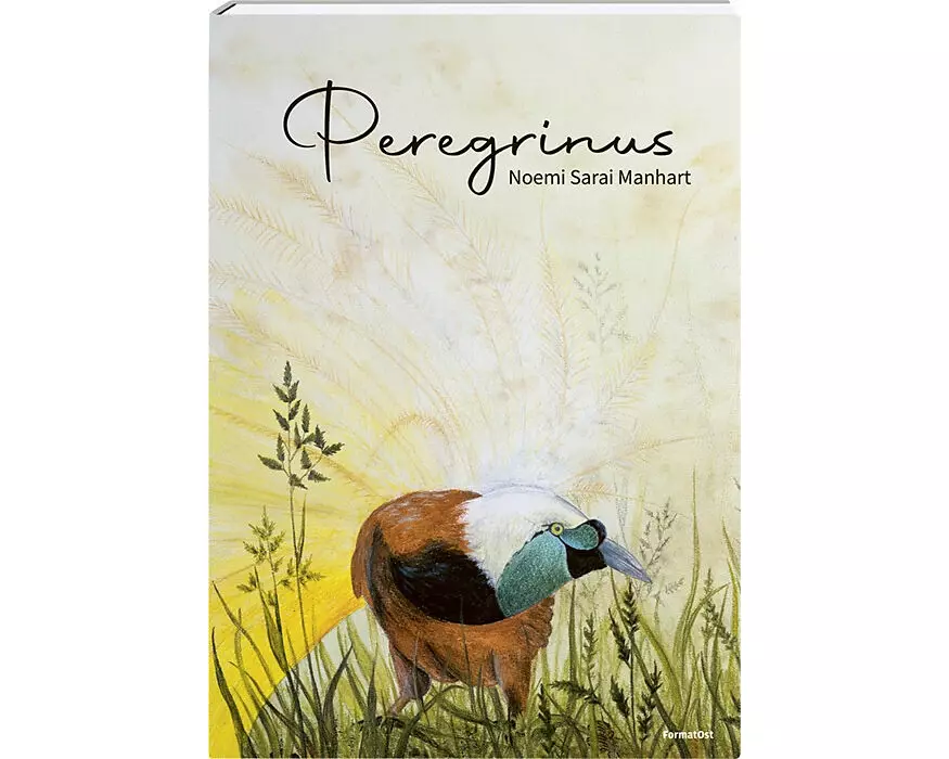 Peregrinus
