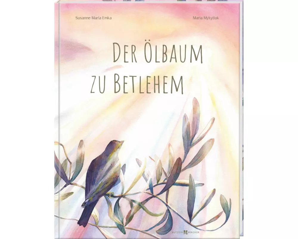 Der Ölbaum zu Betlehem