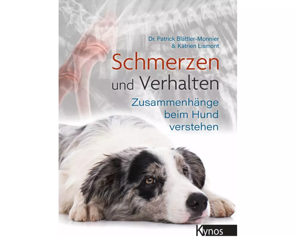 Schmerzen und Verhalten