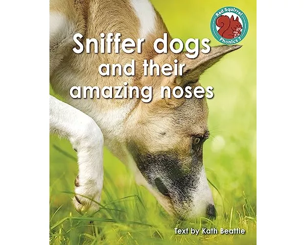 Sniffer dogs and their amazing noses