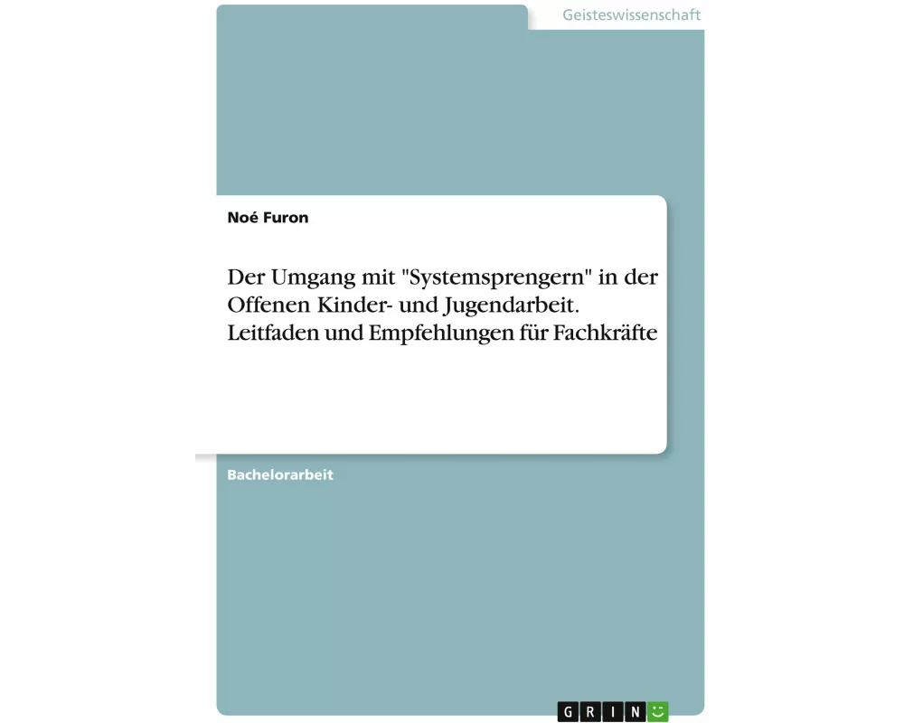 Der Umgang mit "Systemsprengern" in der Offenen Kinder- und Jugendarbeit. Leitfaden und Empfehlungen für Fachkräfte