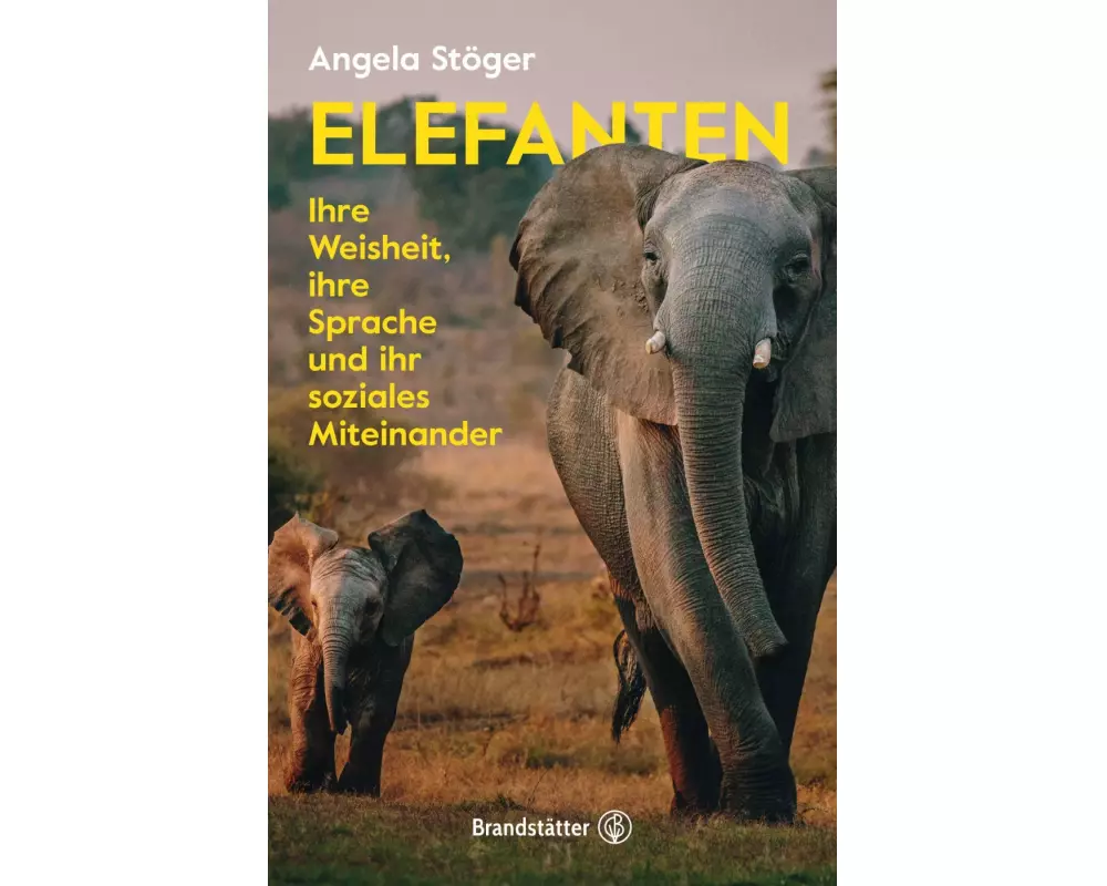 Elefanten