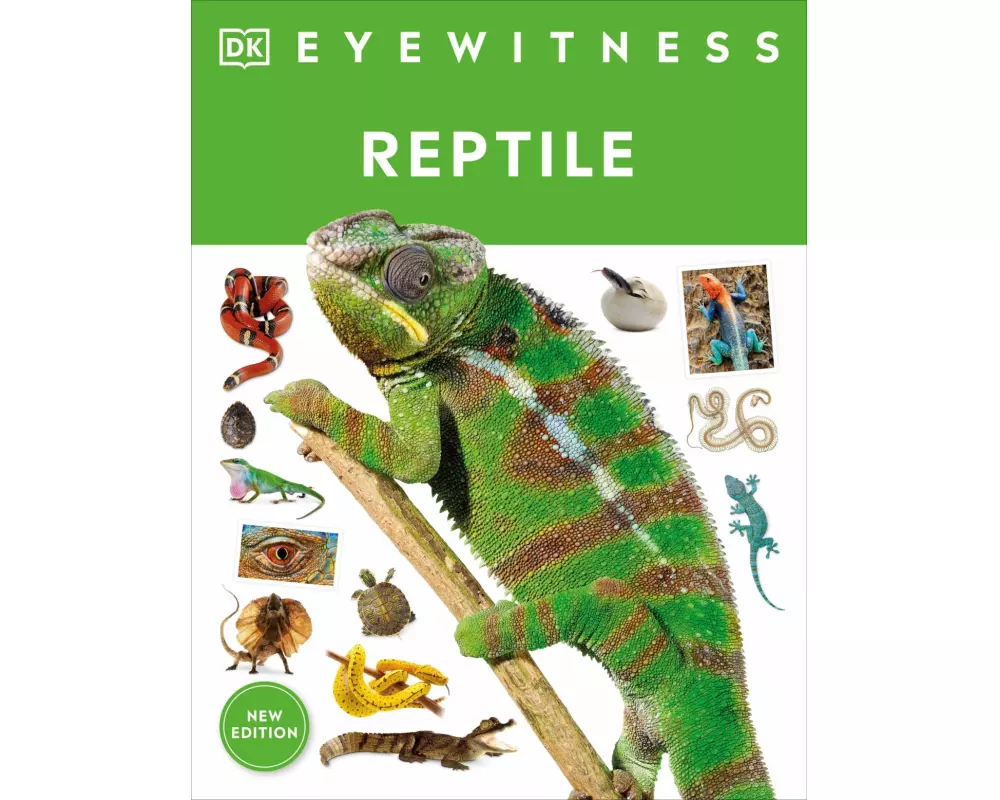 Eyewitness Reptile
