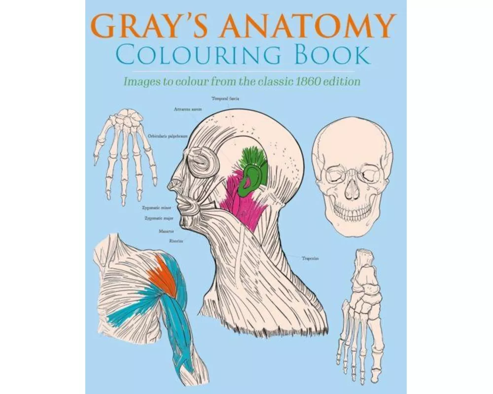 Gray's Anatomy Colouring Book