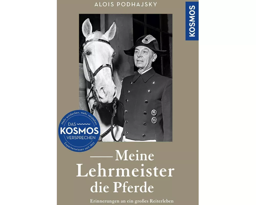 Meine Lehrmeister die Pferde