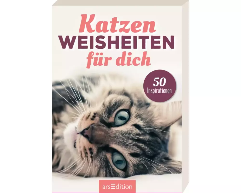 Katzenweisheiten für dich
