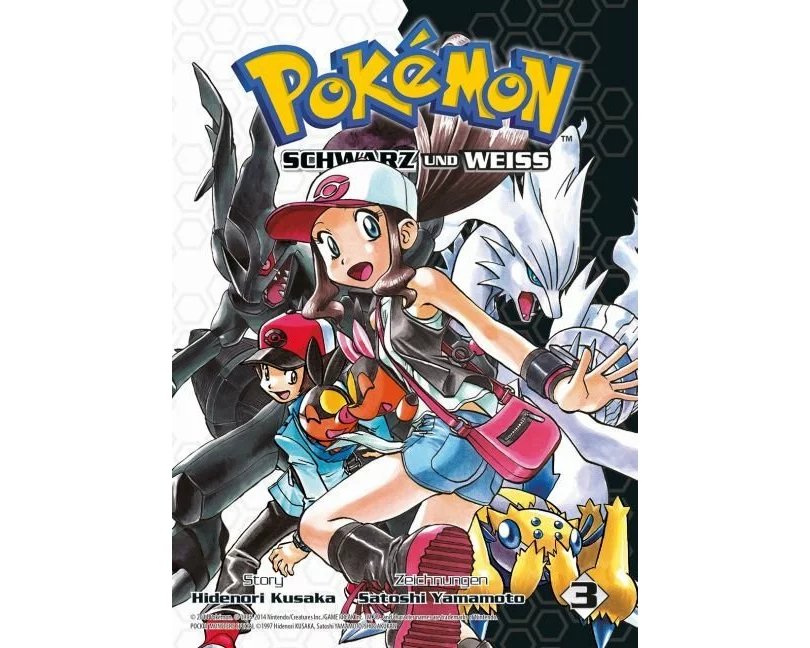 Pokémon Schwarz und Weiss 03