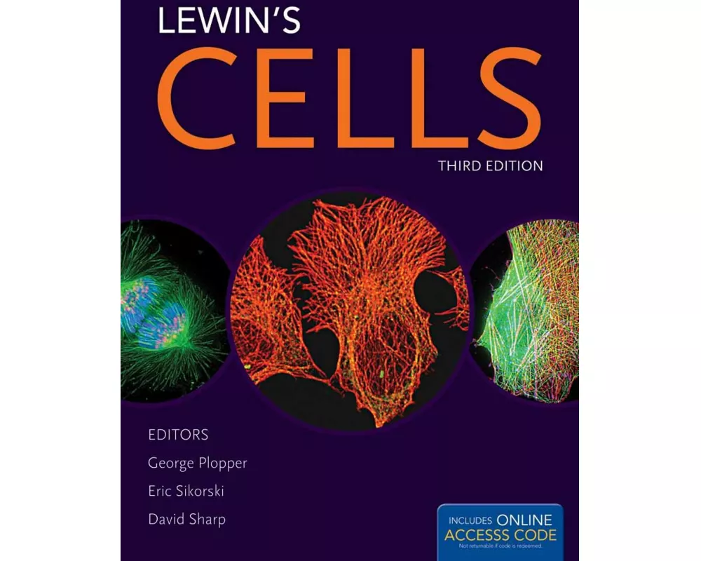 Lewin's Cells