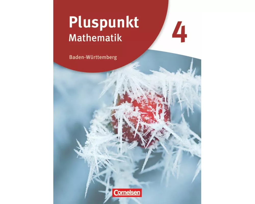 Pluspunkt Mathematik - Baden-Württemberg - Neubearbeitung - Band 4
