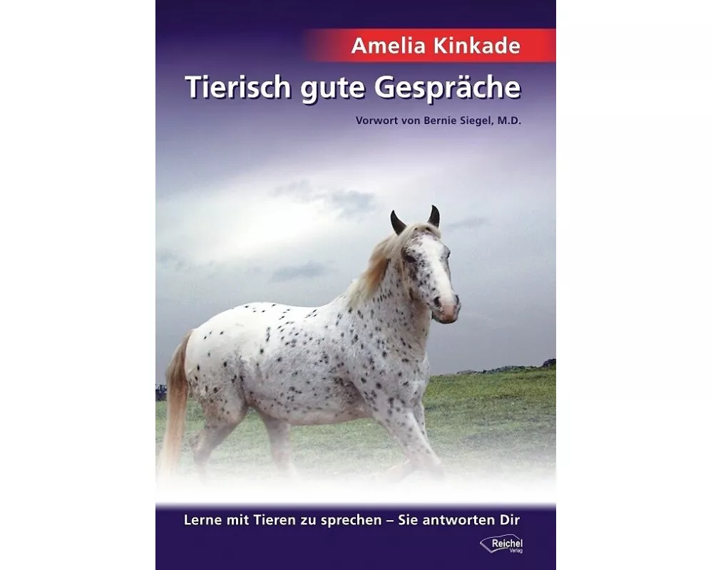 Tierisch gute Gespräche