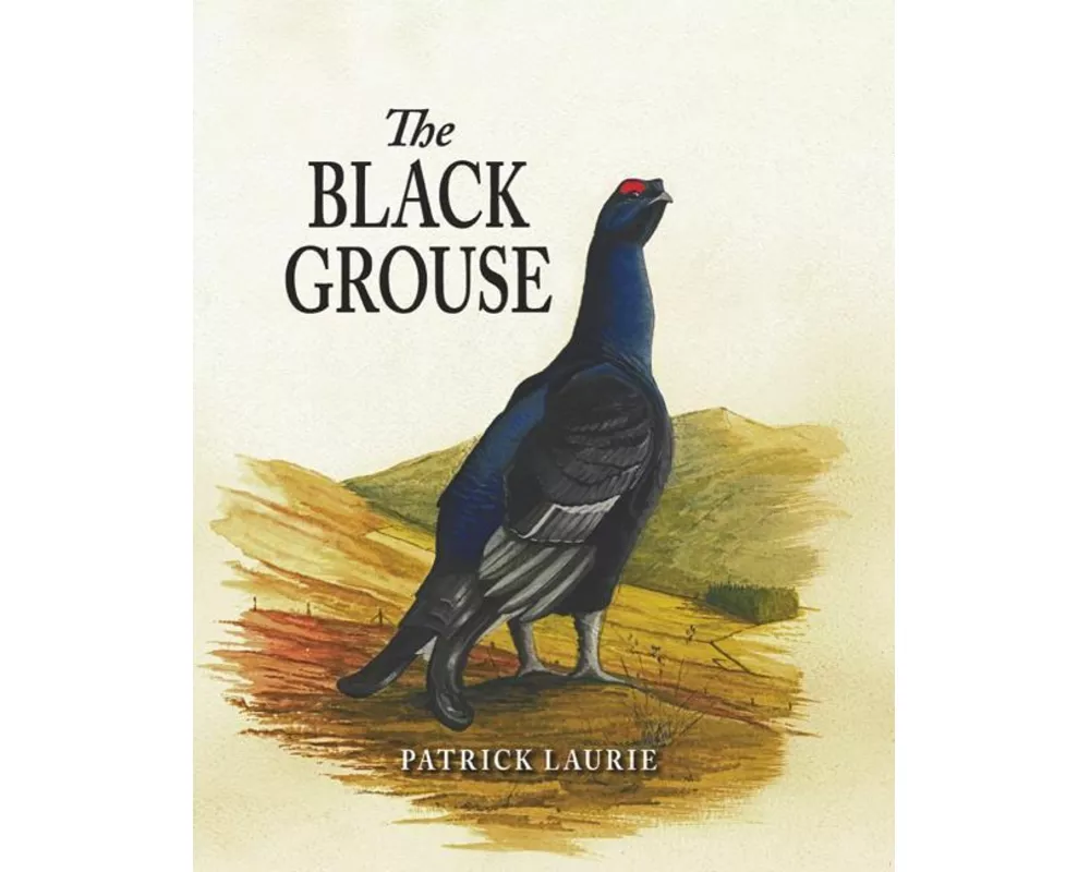 The Black Grouse