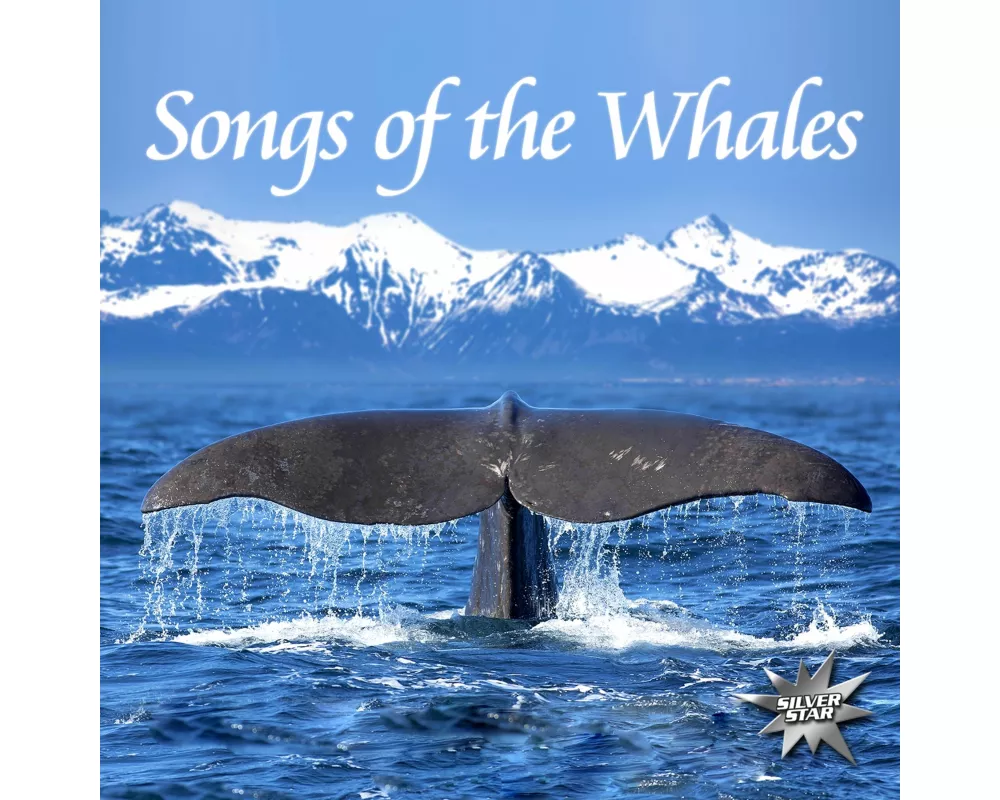 Songs Of The Whales