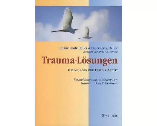 Trauma- Lösungen