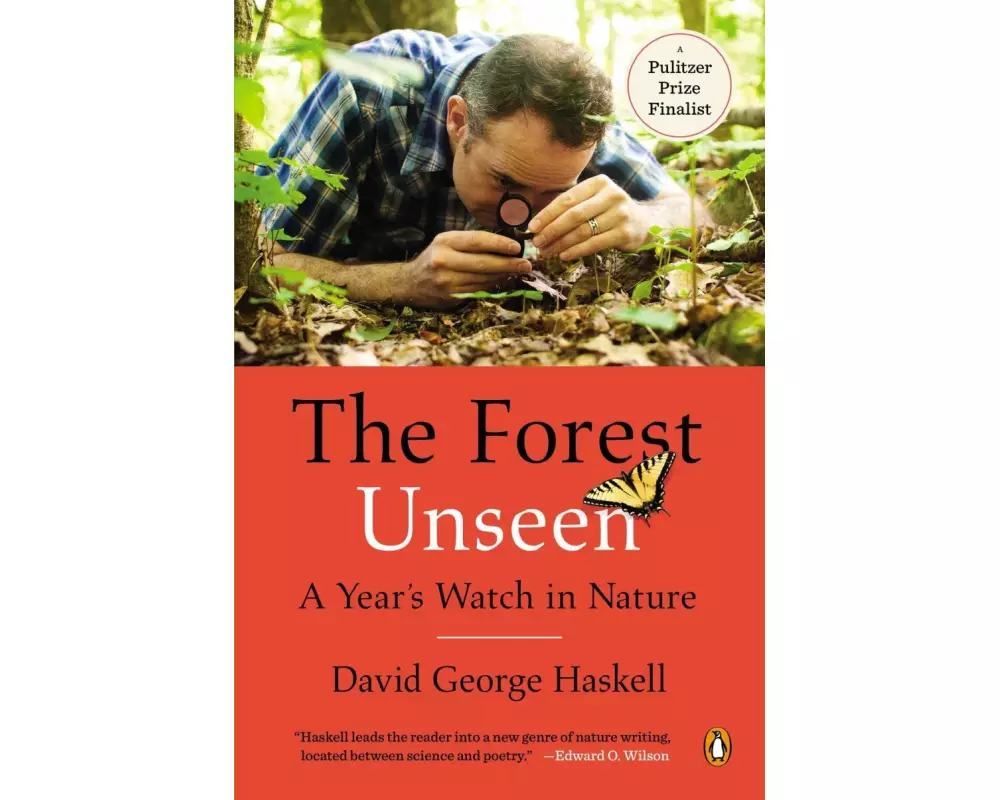 The Forest Unseen