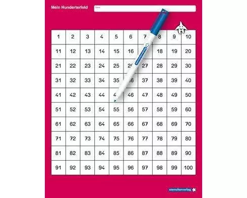 Mein Hunderterfeld mit Stift