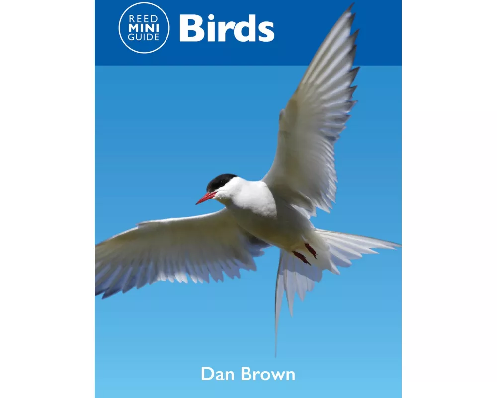 Reed Mini Guide: Birds