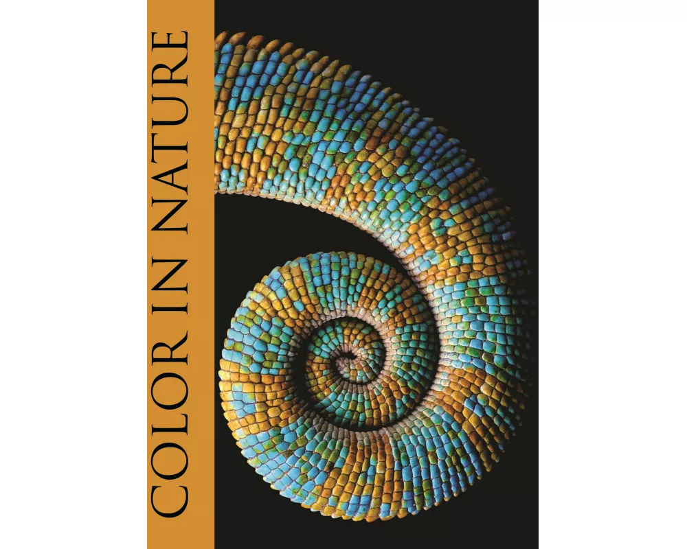 Color in Nature
