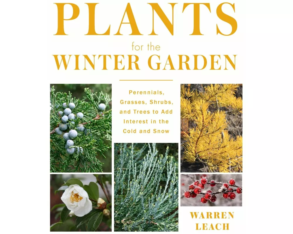 Plants for the Winter Garden