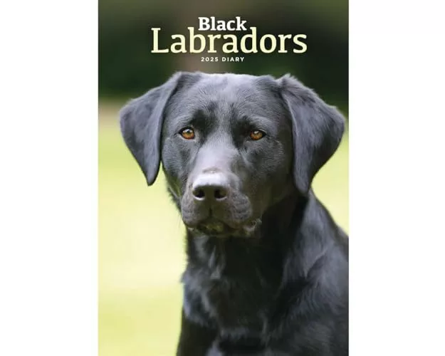 Labrador Retrievers Black A5 Diary 2025