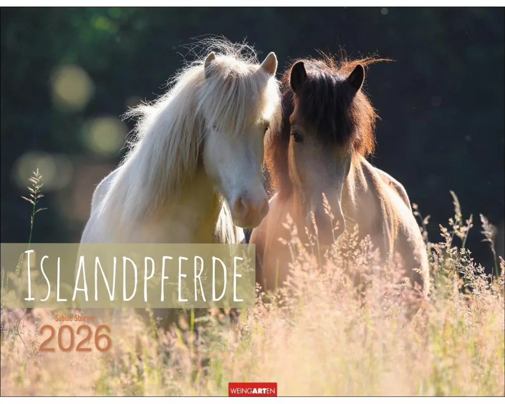 Islandpferde Kalender 2026