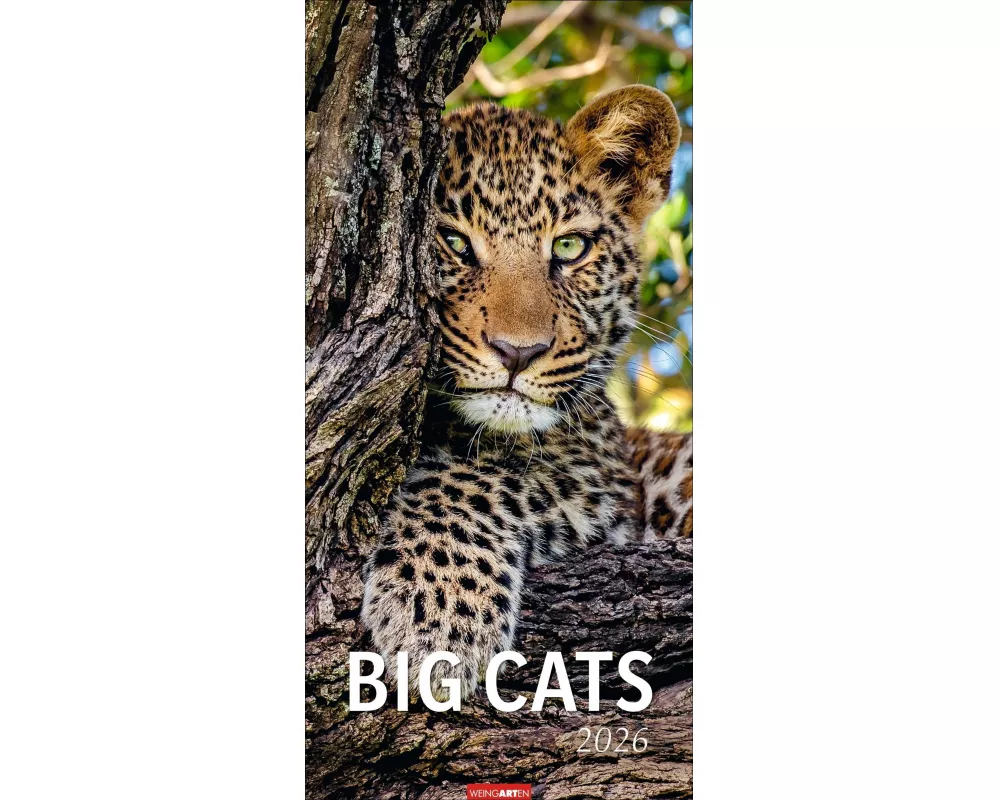 Big Cats Kalender 2026