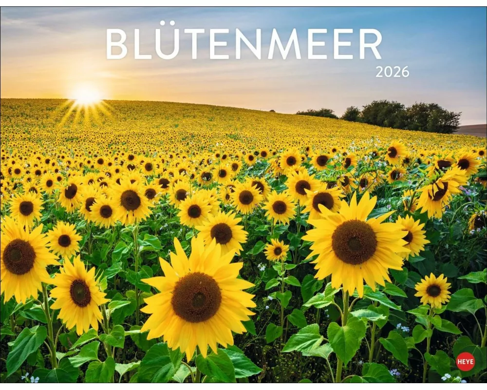 Blütenmeer Posterkalender 2026