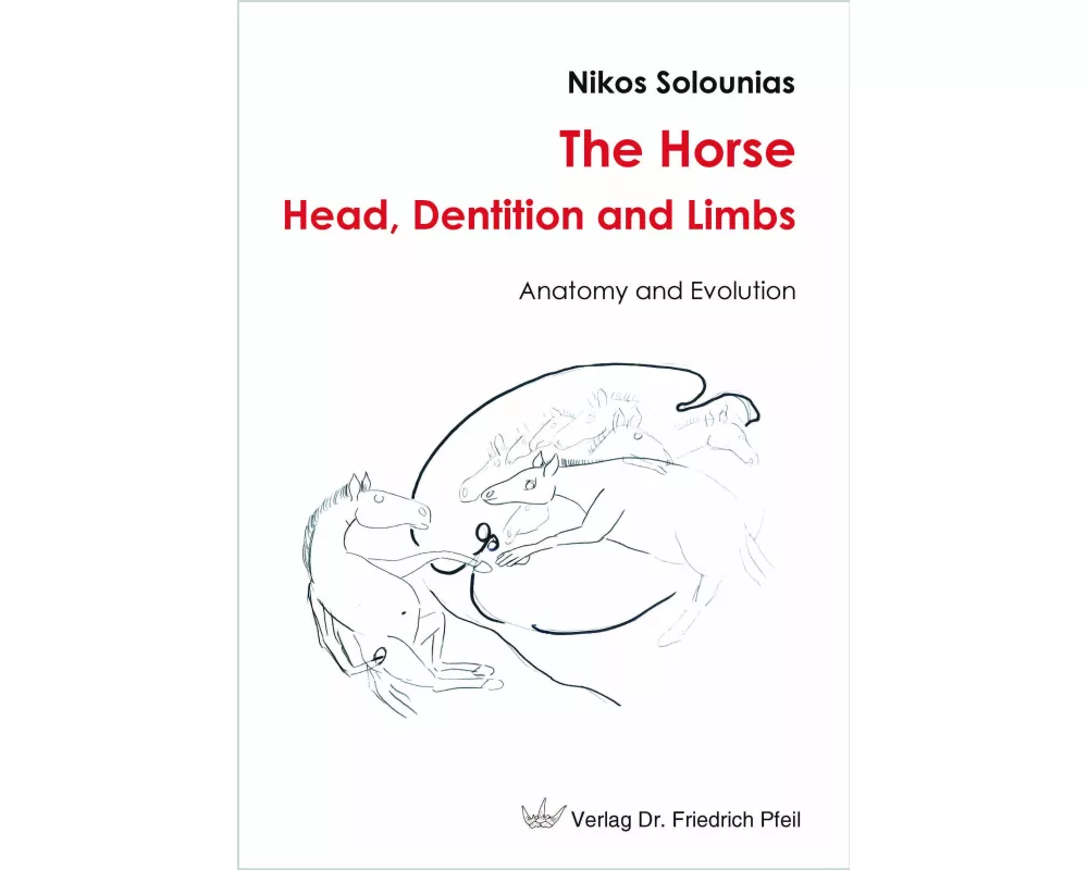 The Horse - Head, Dentition and Limbs