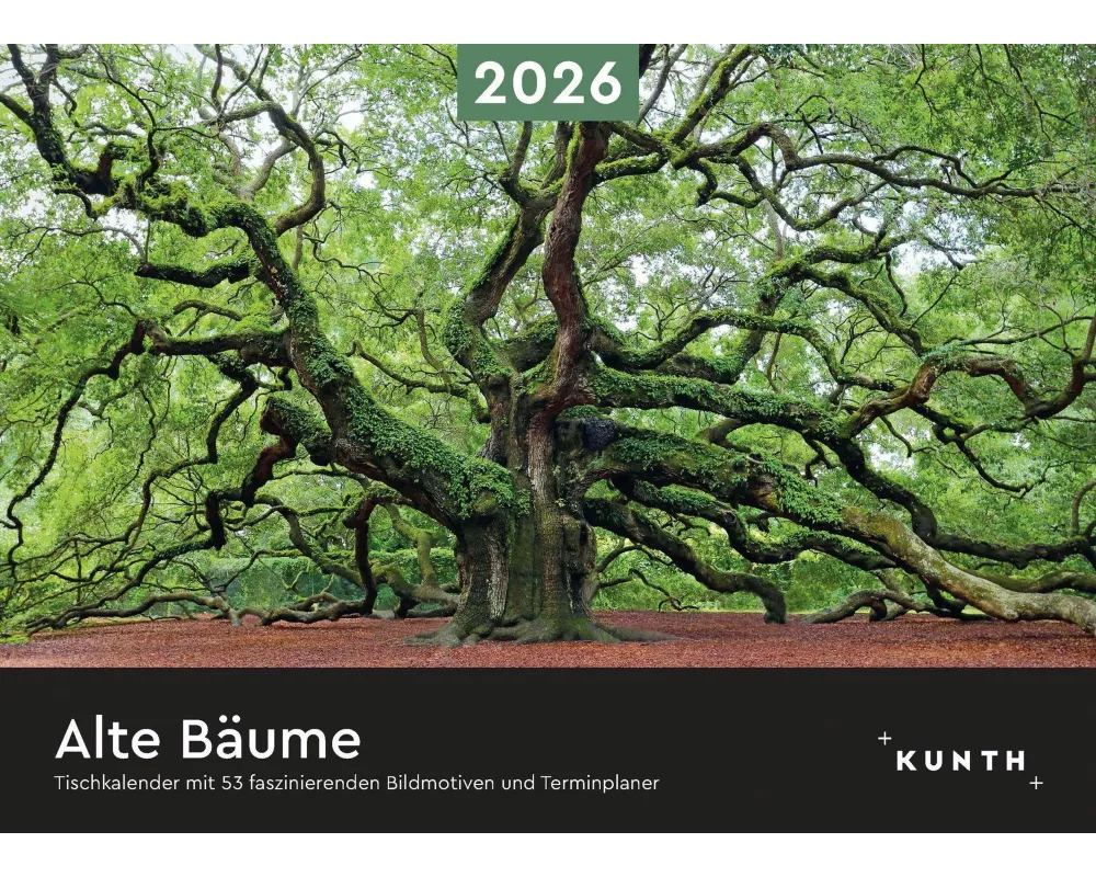 Alte Bäume - KUNTH Tischkalender 2026
