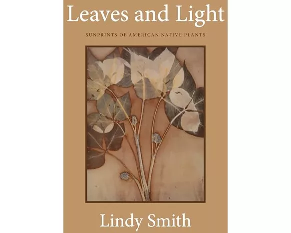 Leaves and Light