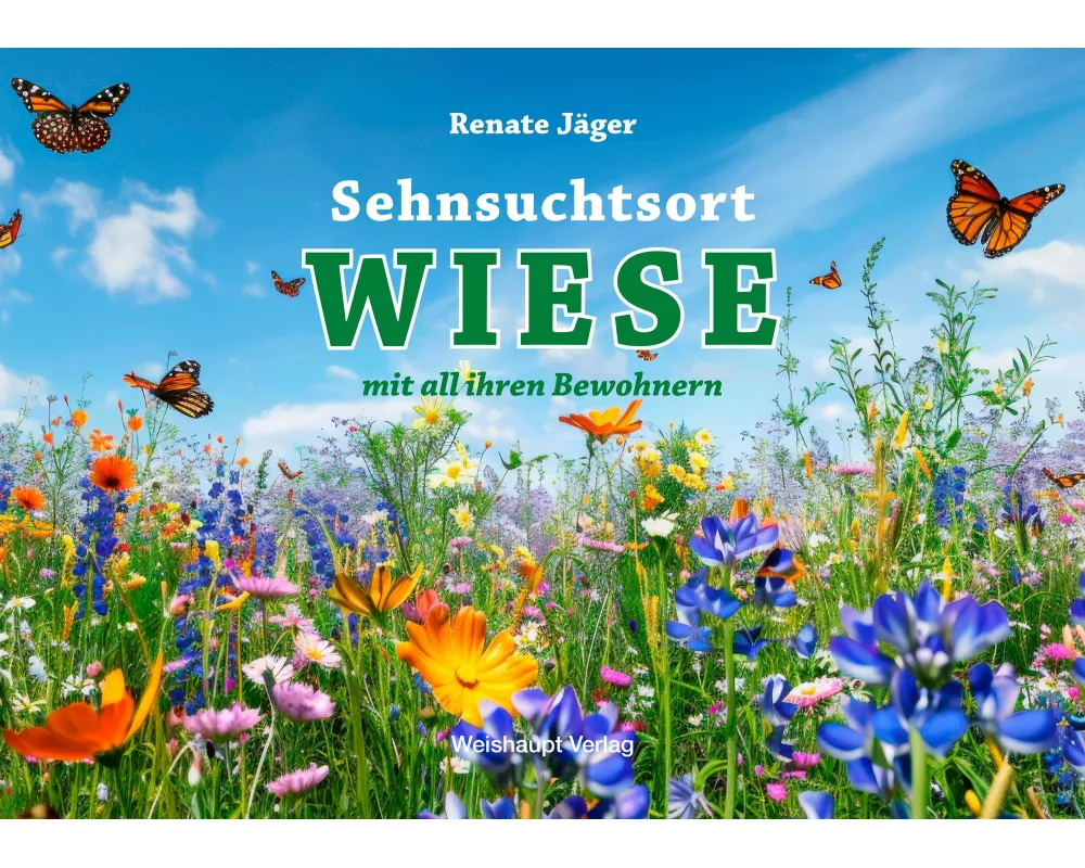 Sehnsuchtsort WIESE