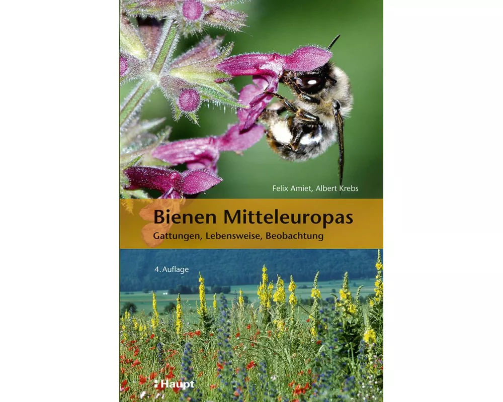 Bienen Mitteleuropas