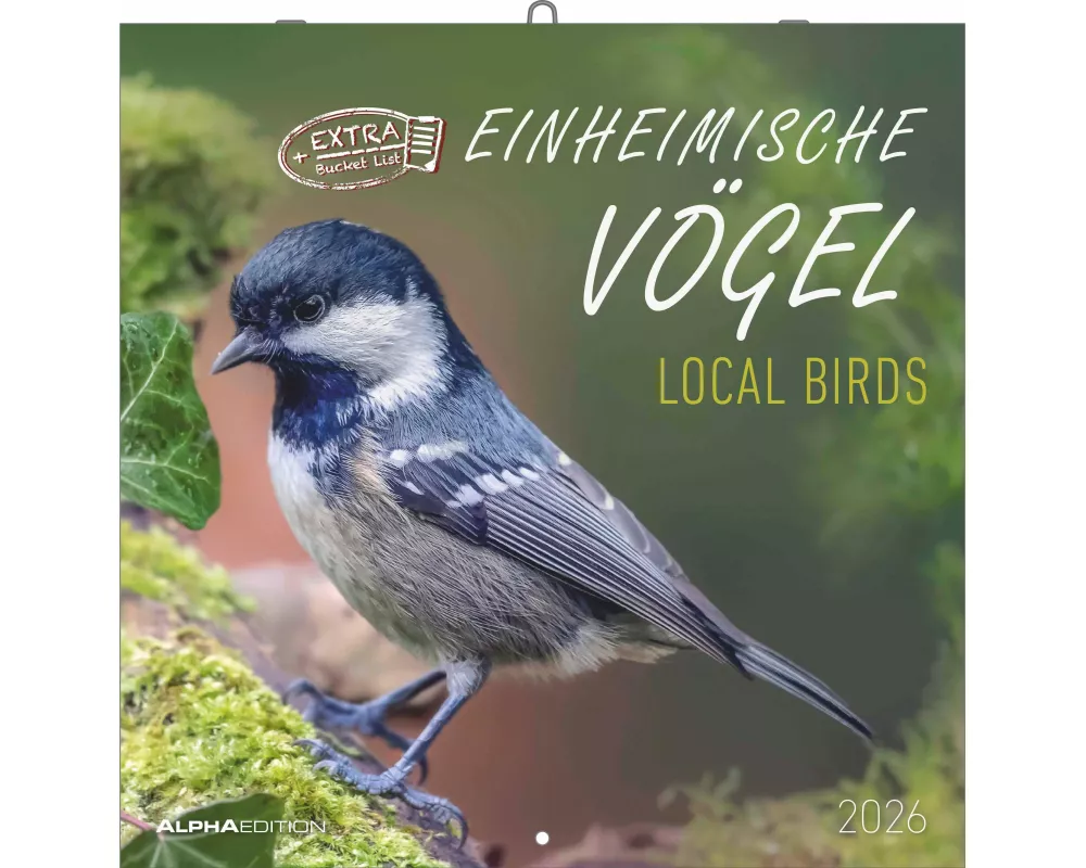 Alpha Edition - Einheimische Vögel Kalender 2026 – Wandkalender 30×30 cm (30×60 geöffnet) mit Vogelmotiven & Platz für Notizen, Broschürenkalender mit