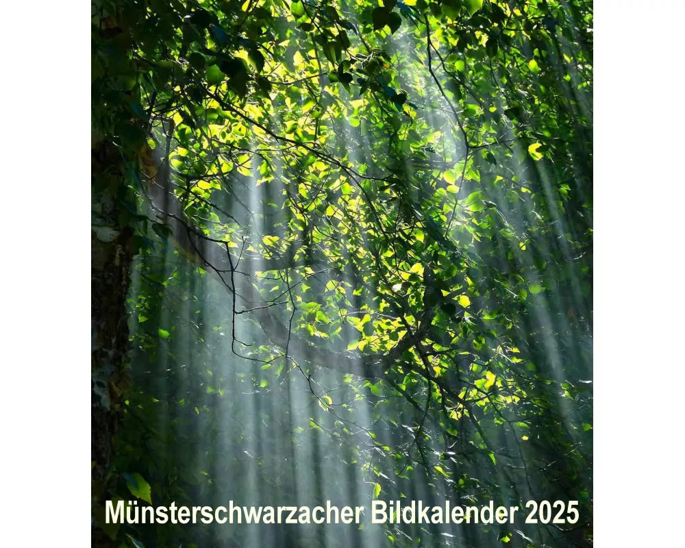 Münsterschwarzacher Bildkalender 2025