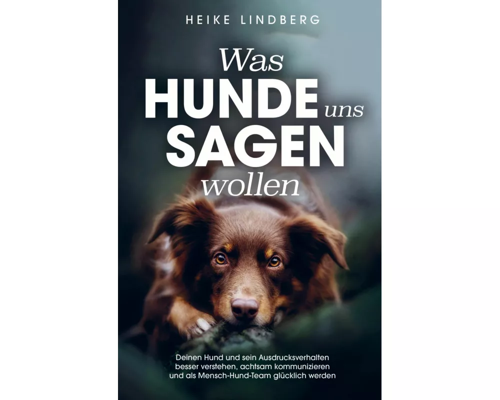 Was Hunde uns sagen wollen