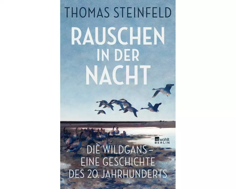 Rauschen in der Nacht