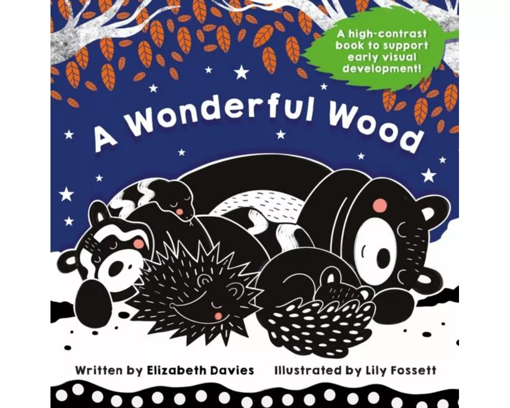 A Wonderful Wood: A Black-and-White High-Contrast Storybook for Newborns and Children aged 0-5