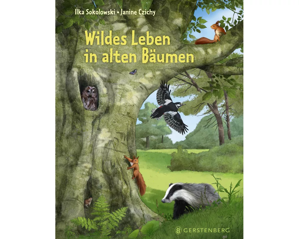 Wildes Leben in alten Bäumen