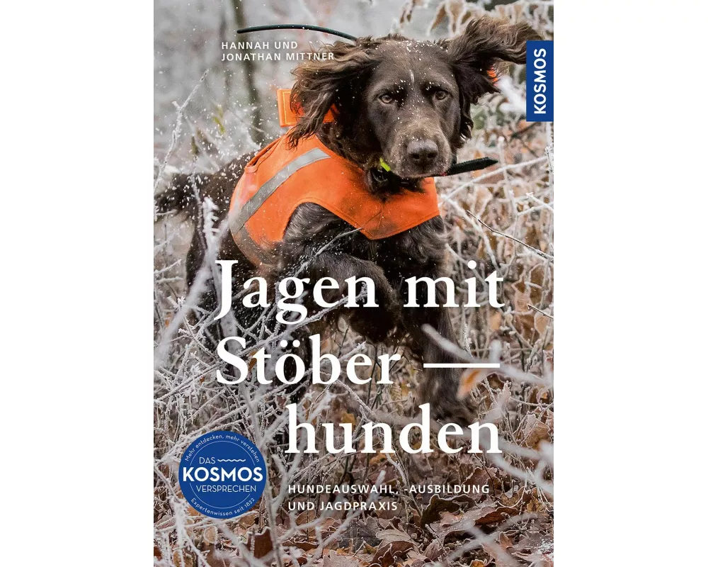 Jagen mit Stöberhunden