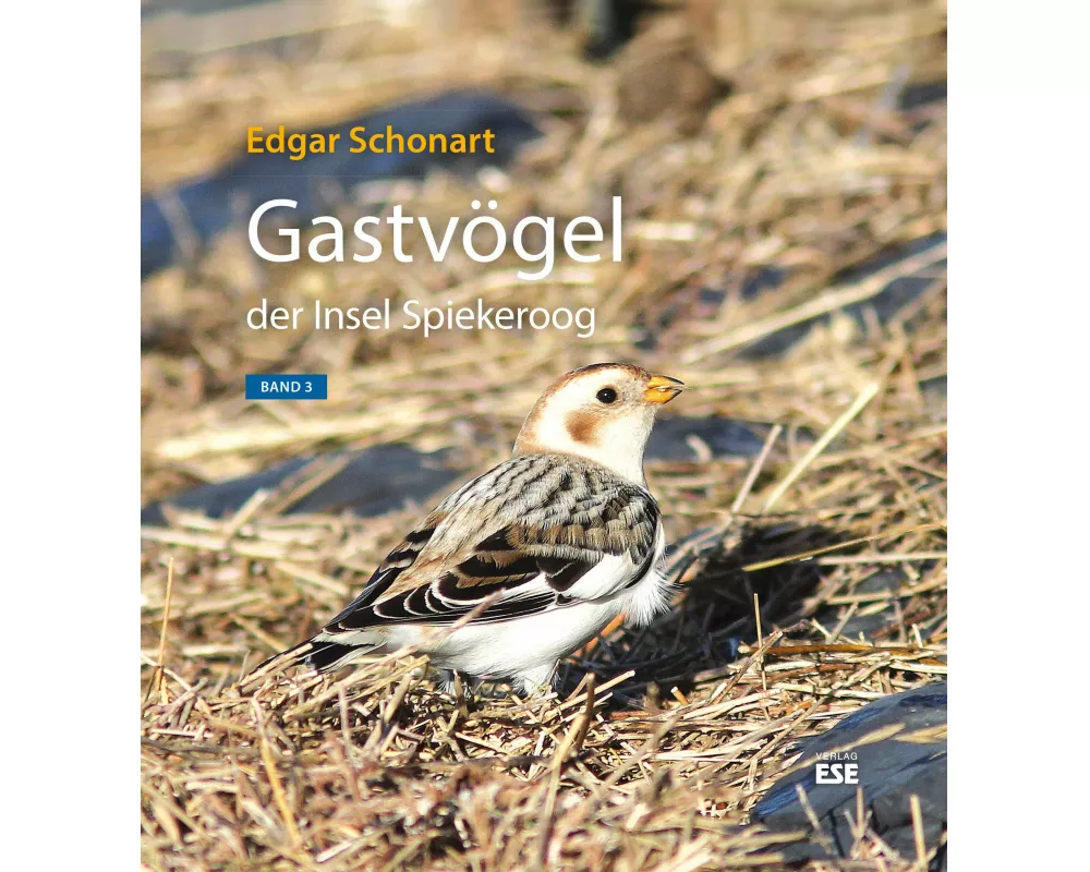 Gastvögel der Insel Spiekeroog